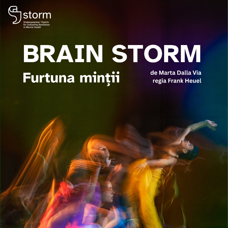 brain storm articol